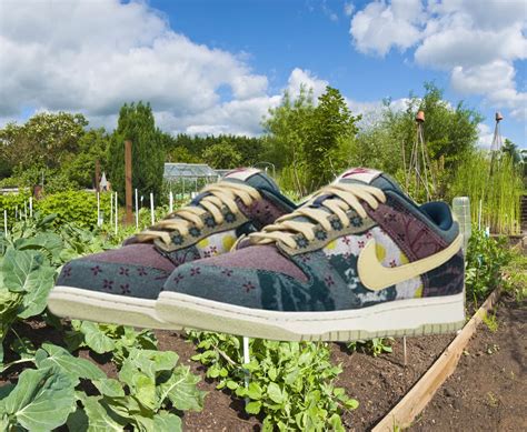 Buy Dunk Low 'Community Garden' 